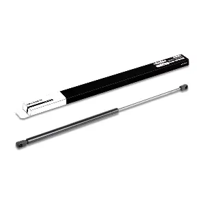 RIDEX 219G0116