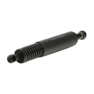 RIDEX 219G0386