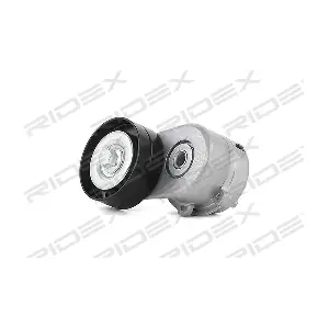 310T0053 RIDEX
