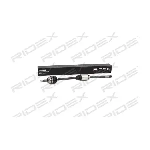 13D0383 RIDEX