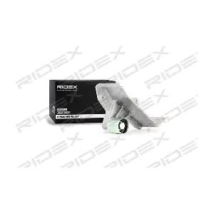 313D0107 RIDEX