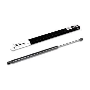 219G0244 RIDEX