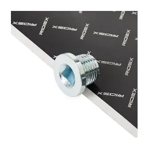 RIDEX 593D0053