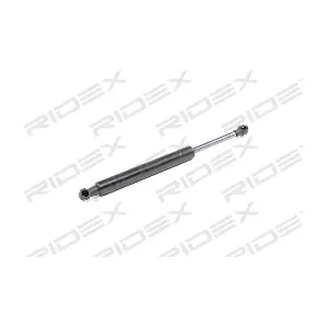 219G0567 RIDEX