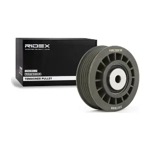 RIDEX 310T0008