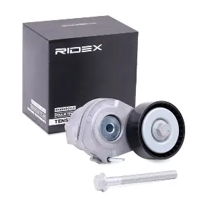310T0103 RIDEX