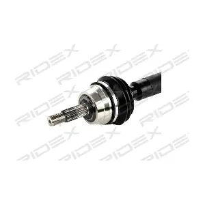 RIDEX 13D0033