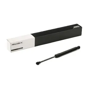 2454G0008 RIDEX