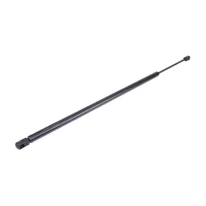 219G1007 RIDEX
