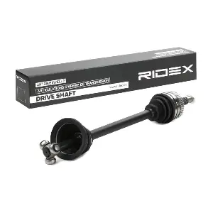 13D0223 RIDEX