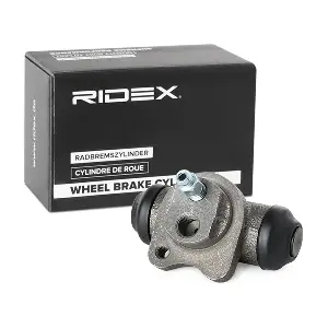 RIDEX 277W0031