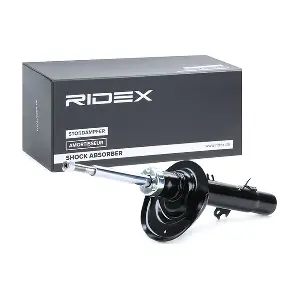 RIDEX 854S1768