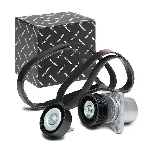 542R0286 RIDEX
