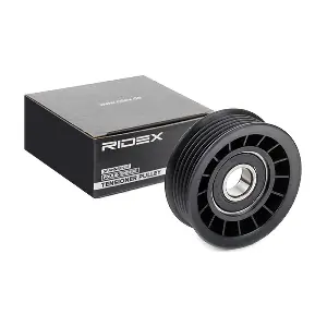 310T0484 RIDEX