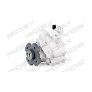 RIDEX 12H0100