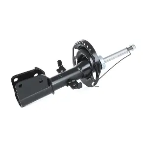 854S0210 RIDEX