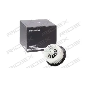 RIDEX 2669I0179