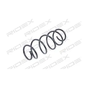 188C0006 RIDEX