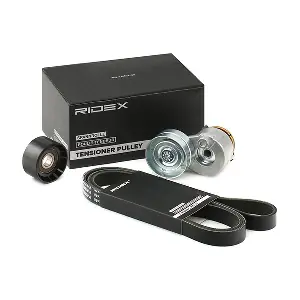 542R0020 RIDEX