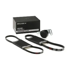 542R0276 RIDEX