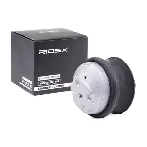 247E0098 RIDEX