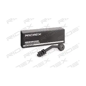 RIDEX 3229S0557