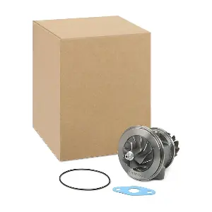 4973C0081 RIDEX