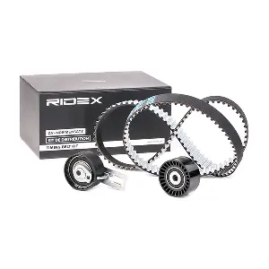 RIDEX 307T0198