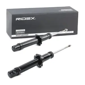 854S1925 RIDEX