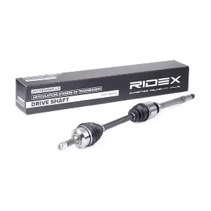 13D0269 RIDEX