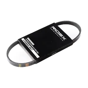 305P0168 RIDEX