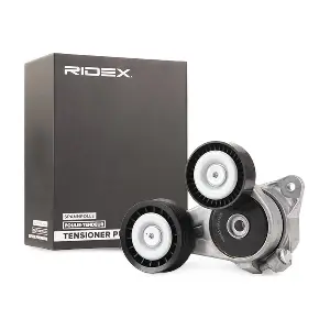 310T0255 RIDEX