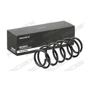 188C0493 RIDEX