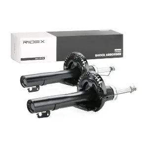 854S1248 RIDEX
