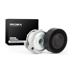 RIDEX 310T0037