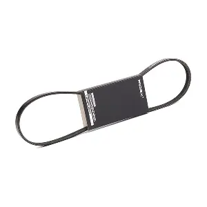 305P0309 RIDEX