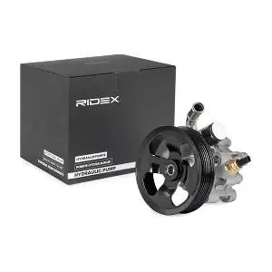 12H0255 RIDEX