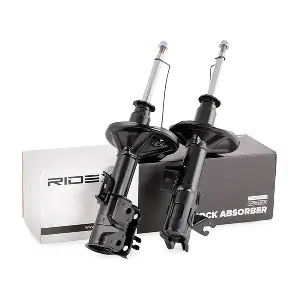 854S1787 RIDEX