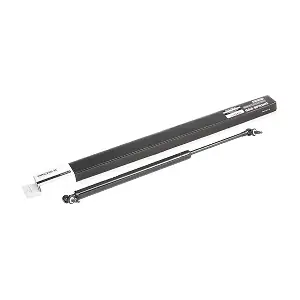219G0222 RIDEX