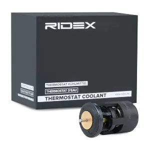 316T0009 RIDEX