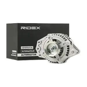 4G0420 RIDEX