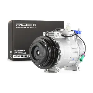 447K0149 RIDEX