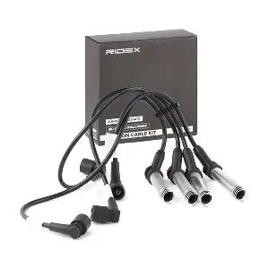 685I0010 RIDEX