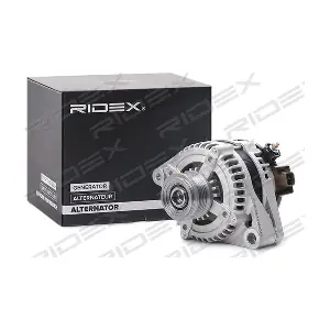 4G1251 RIDEX
