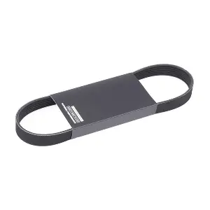 305P0495 RIDEX