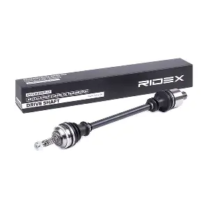 13D0298 RIDEX