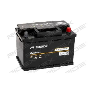 RIDEX 1S0005