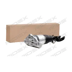 4118A0042 RIDEX