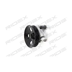 12H0005 RIDEX