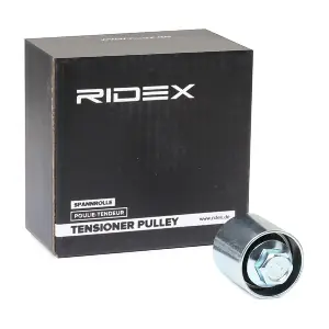 313D0028 RIDEX